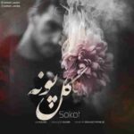 دانلود آهنگ سکوت گل پونه